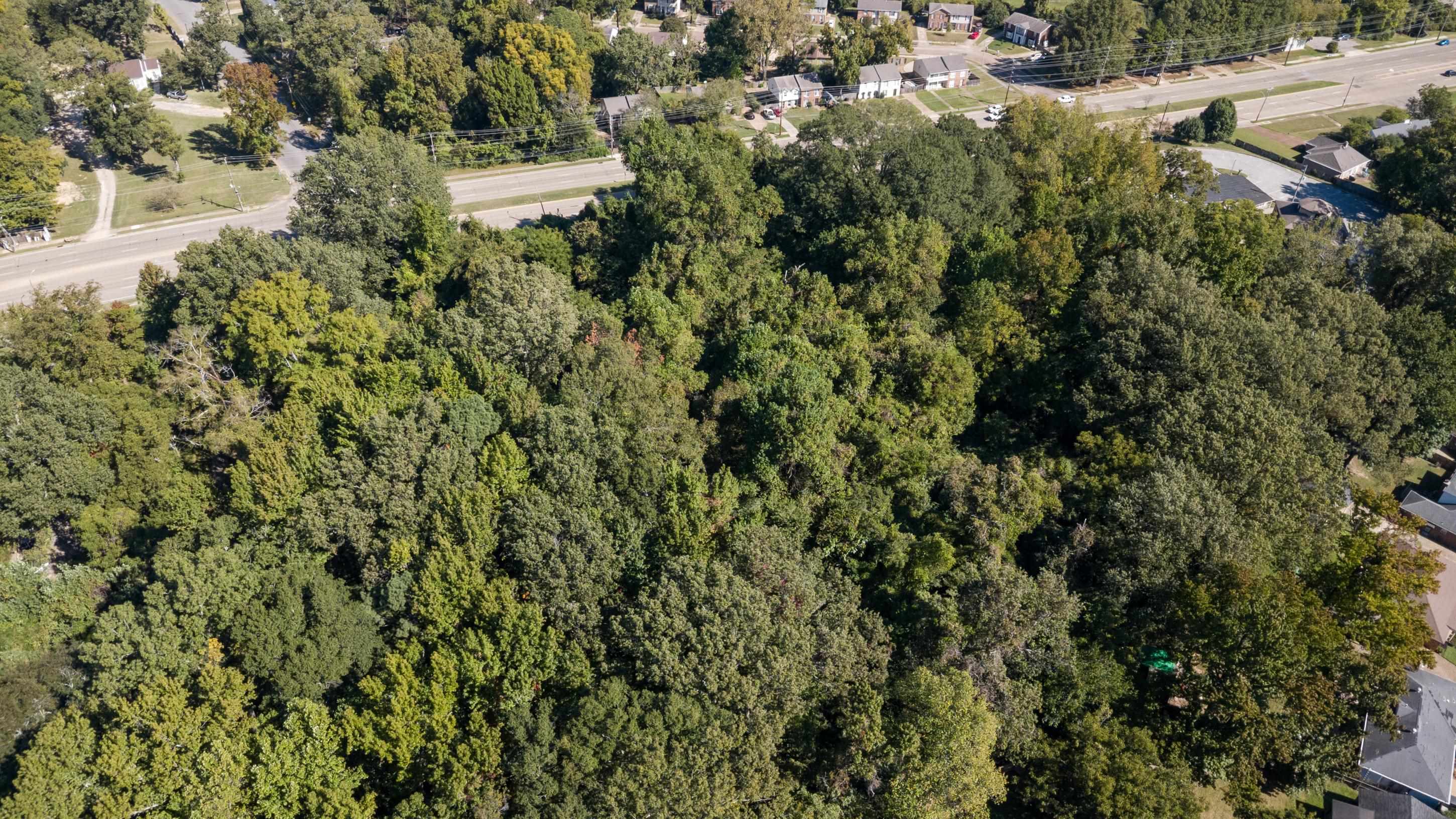 5259 Stage Road Bartlett, TN 38134 - Photo 8 of 15 a view of a field of grass and trees