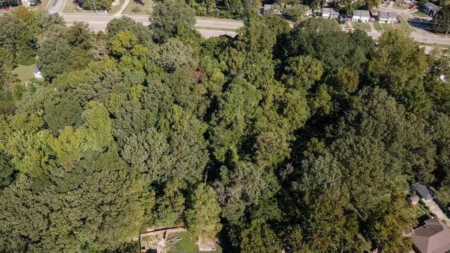 a view of a forest with a building