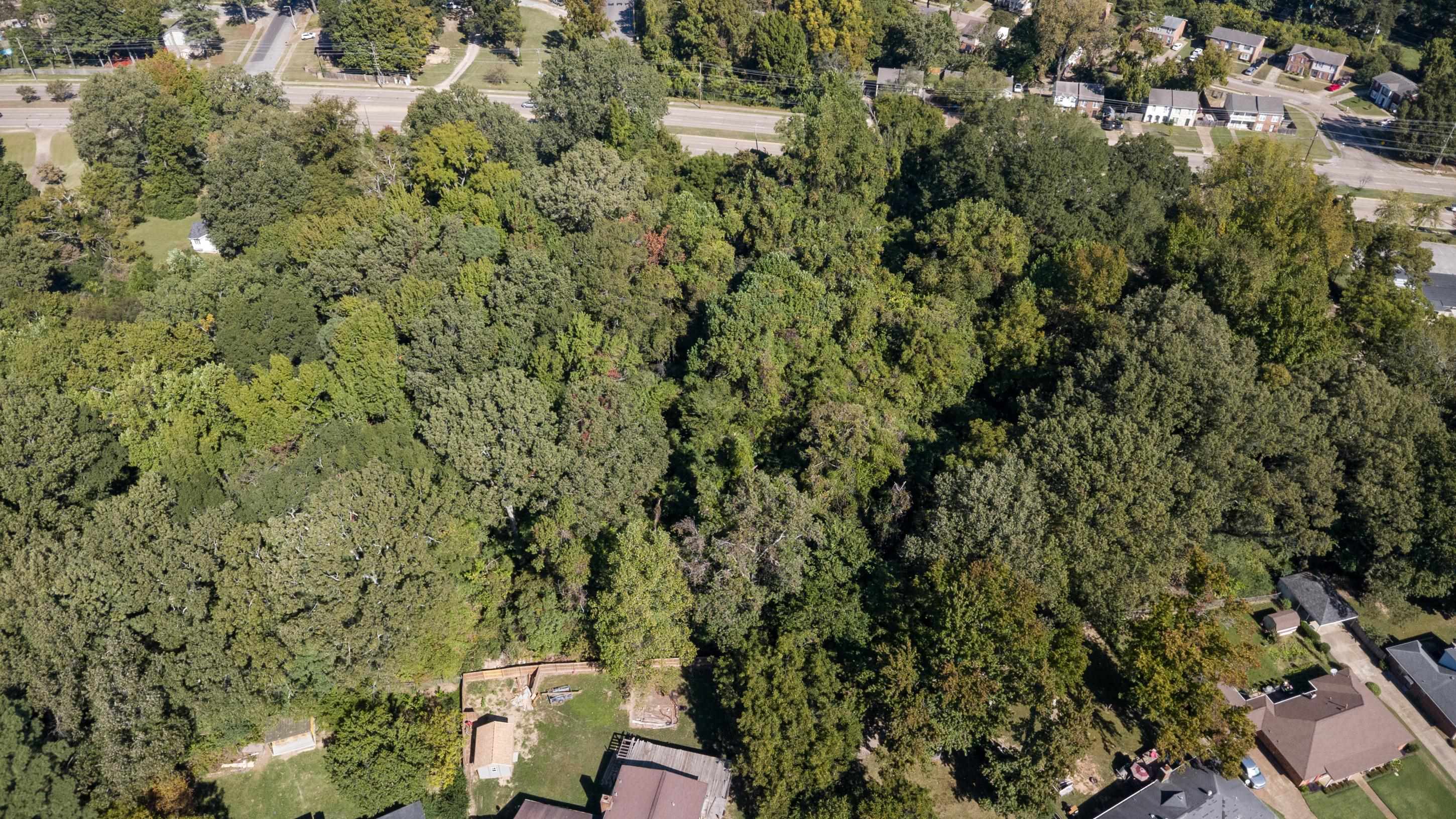 5259 Stage Road Bartlett, TN 38134 - Photo 10 of 15 a view of a yard with wooden fence