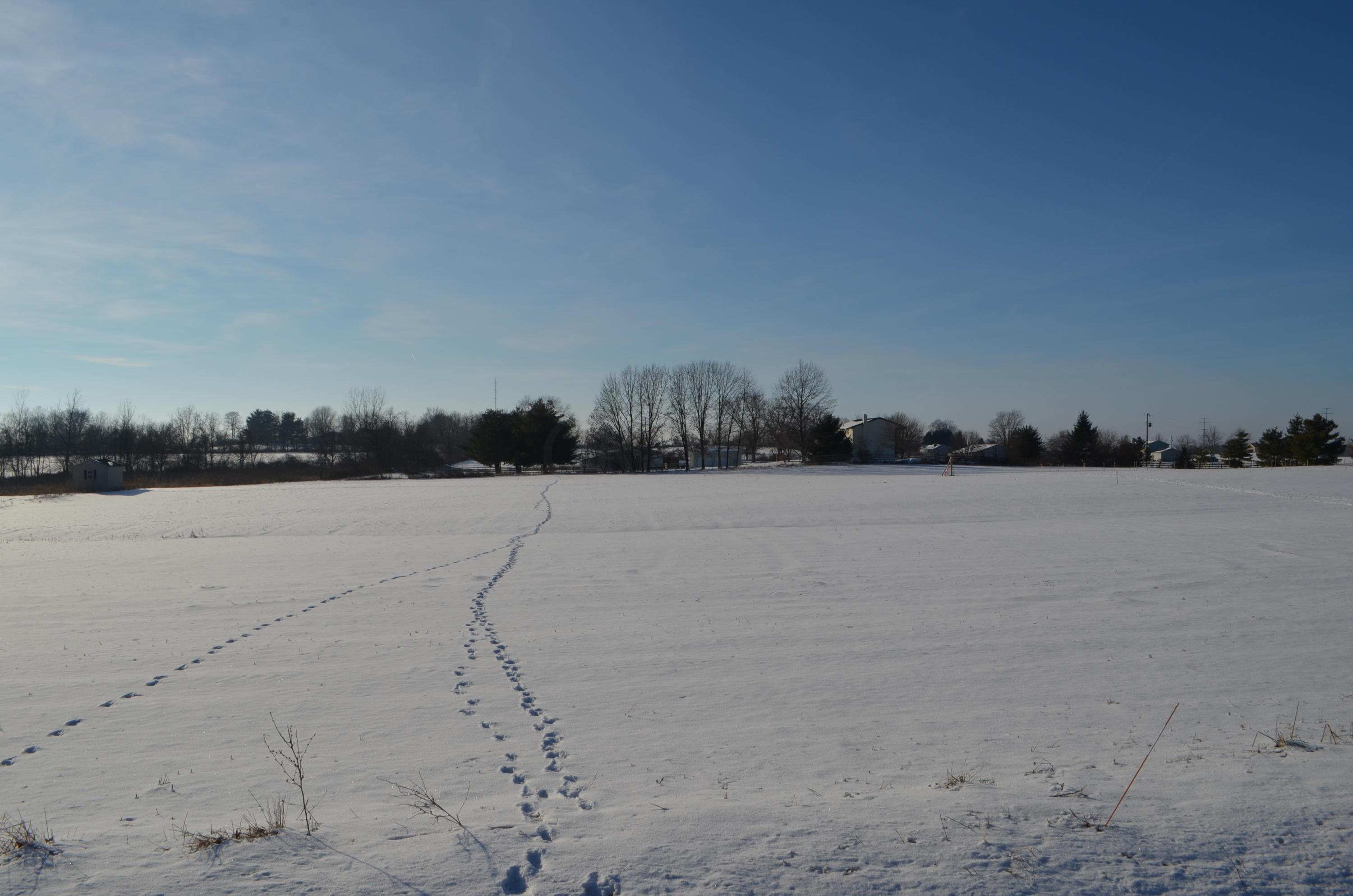 1954 Alward Road Southwest Pataskala, OH 43062 - Photo 2 of 4