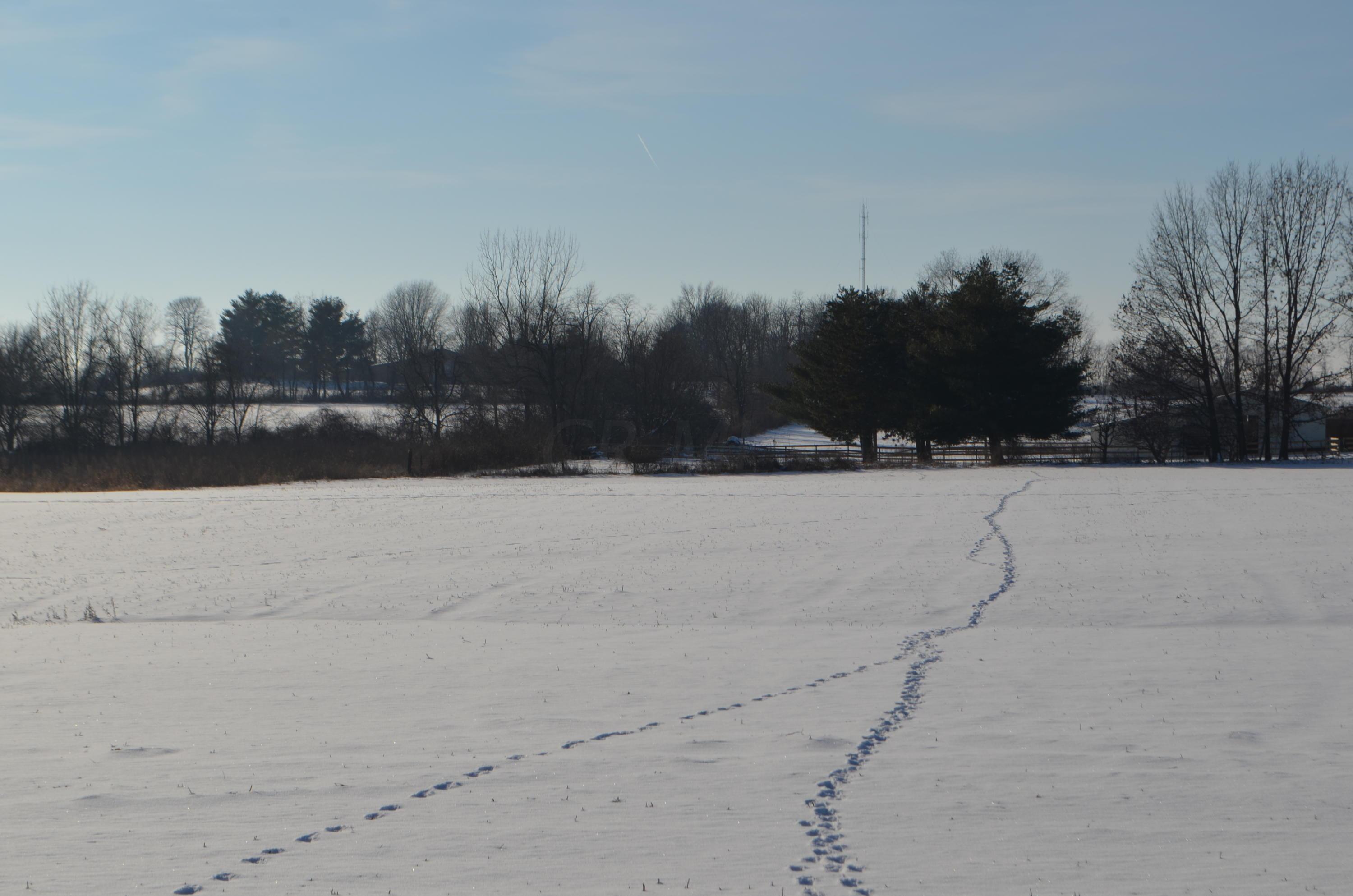 1954 Alward Road Southwest Pataskala, OH 43062 - Photo 3 of 4