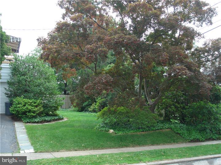 25 Bennett Road Springfield, PA 19064 - Photo 3 of 16