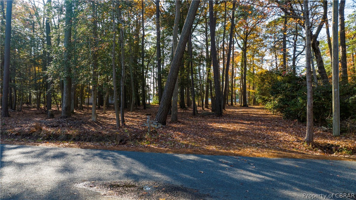 0 Morse Point Rd Port Port Haywood, VA 23138 - Photo 4 of 9