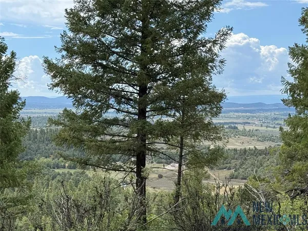 $85,000 | 4 Unit 4 Lakeview Drive, Chama, NM 87520