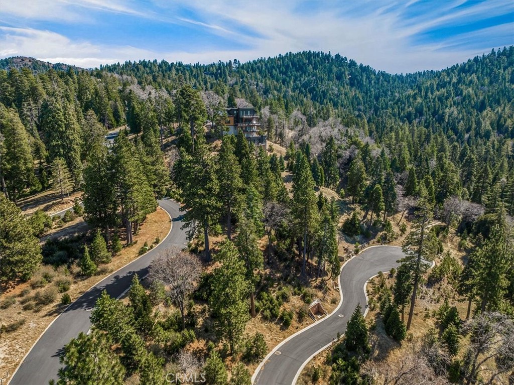 109 Mill Pond Road Lake Arrowhead, CA 92352 - Photo 10 of 43