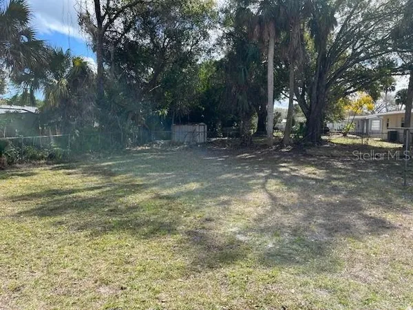 a view of a yard with trees