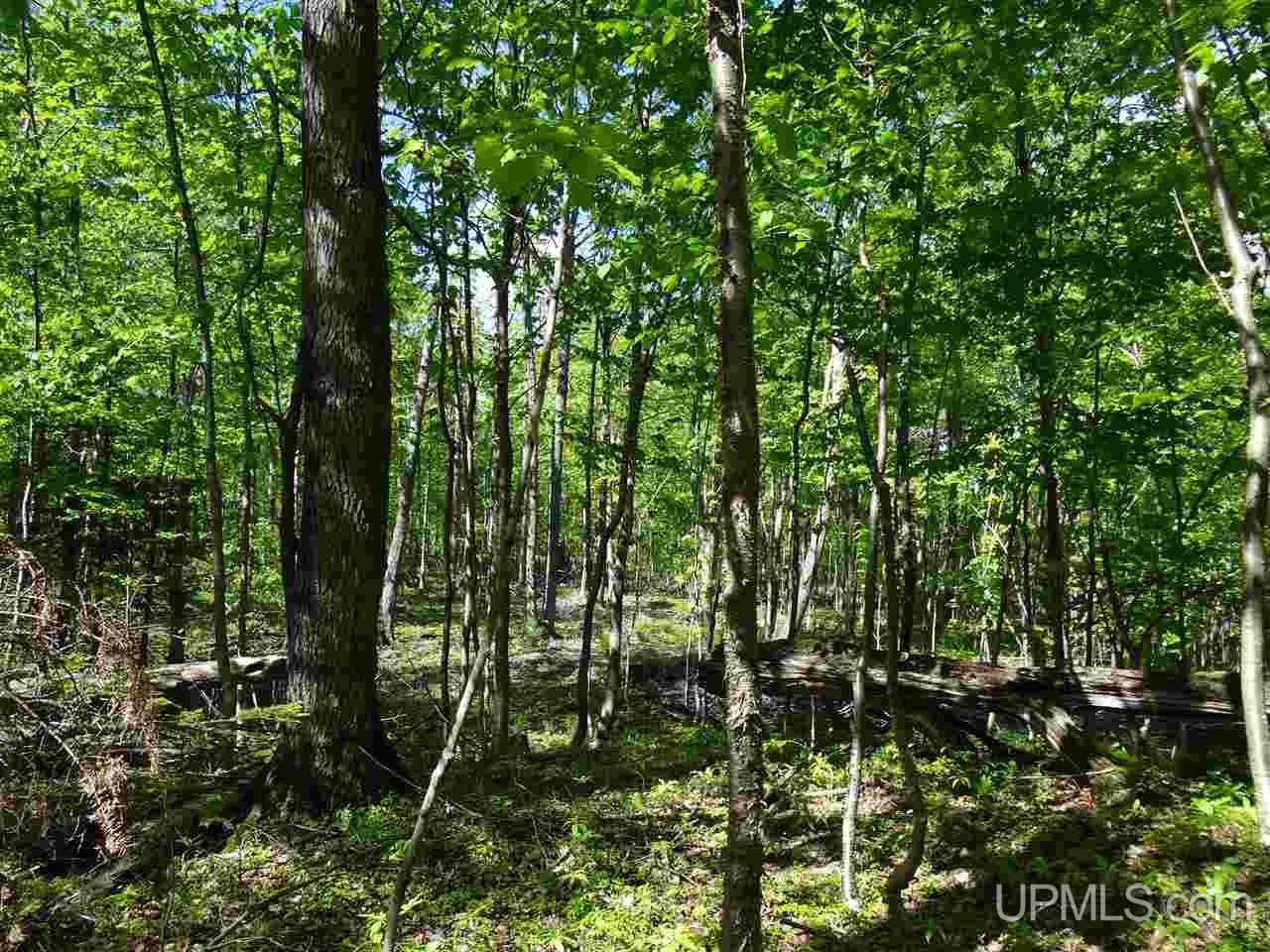Tbd West Heinola Road Atlantic Mine, MI 49931 - Photo 8 of 17