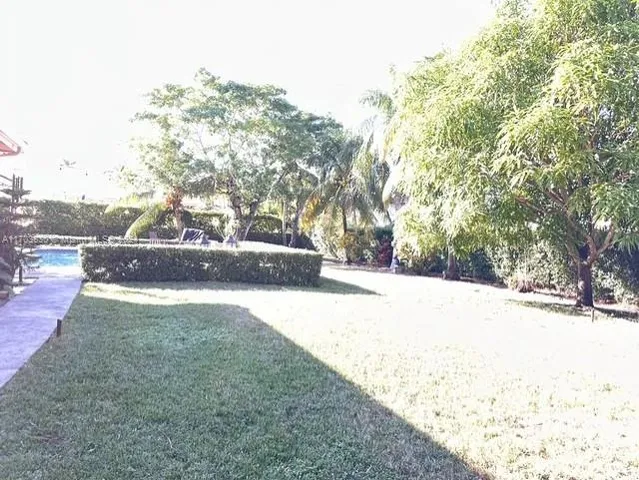 a view of a backyard