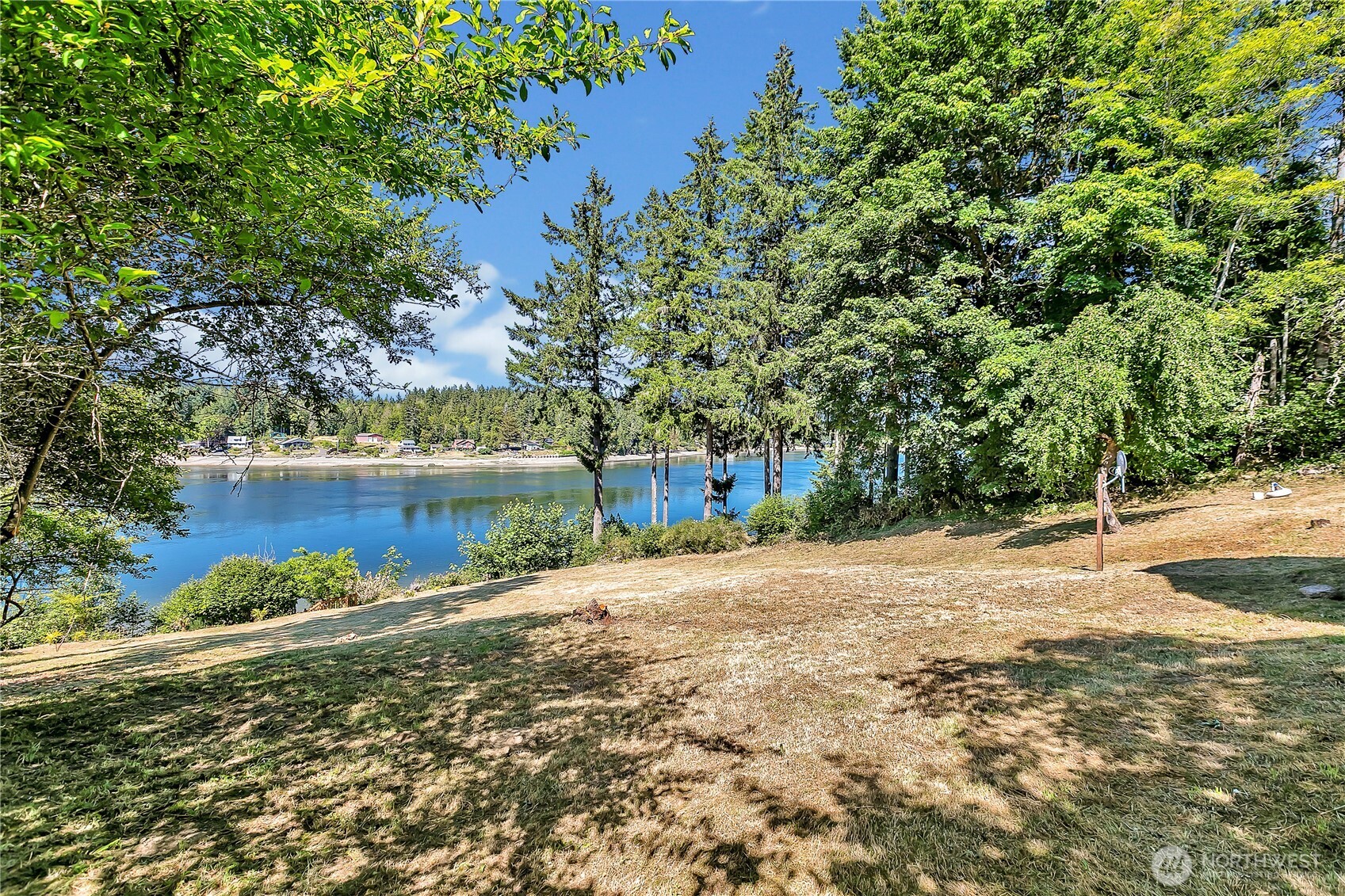 3253 Southeast Arcadia Road Shelton, WA 98584 - Photo 28 of 39 a view of a yard with plants and trees