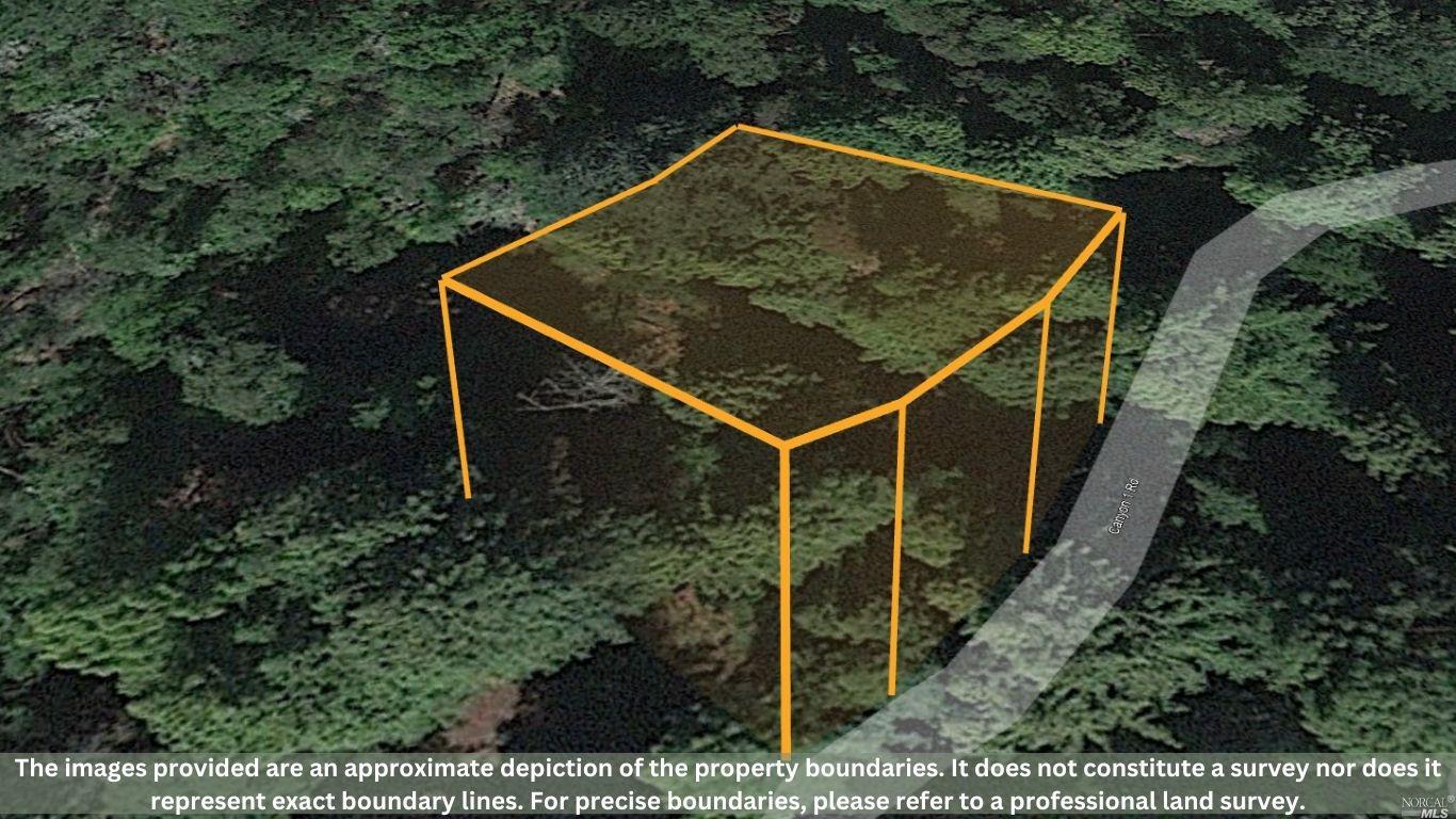 14724 Canyon 1 Road Guerneville, CA 95446 - Photo 3 of 5 a view of a backyard