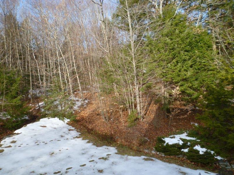 12 Fox Run Road Falmouth, ME 04105 - Photo 8 of 23 Photo