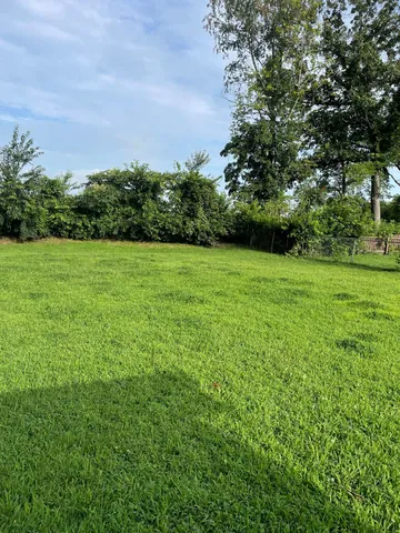 a view of field with tall trees