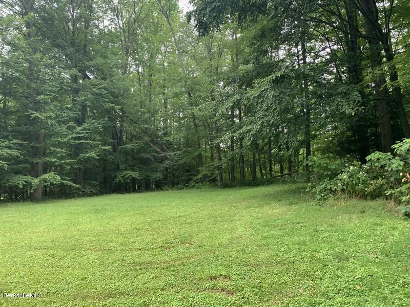 12 Quiet Knoll Road Stockbridge, MA 01266 - Photo 6 of 37 a view of a green yard