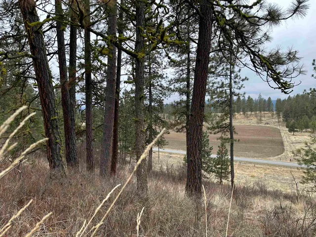 $120,000 | 3312 X Daisy Mine Road, Rice, WA 99167
