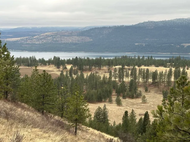 $120,000 | 3312 X Daisy Mine Road, Rice, WA 99167