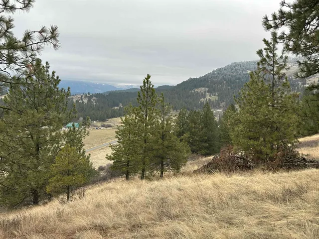 $120,000 | 3312 X Daisy Mine Road, Rice, WA 99167