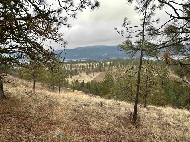 $120,000 | 3312 X Daisy Mine Road, Rice, WA 99167