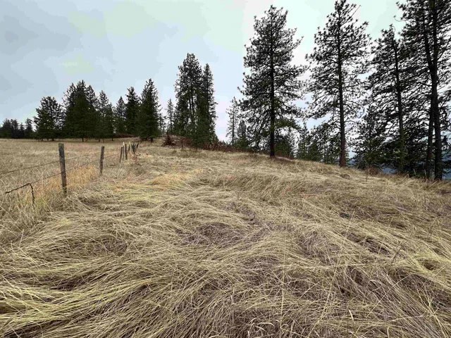 $120,000 | 3312 X Daisy Mine Road, Rice, WA 99167