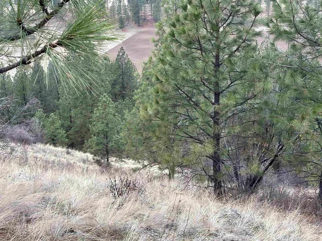 $120,000 | 3312 X Daisy Mine Road, Rice, WA 99167