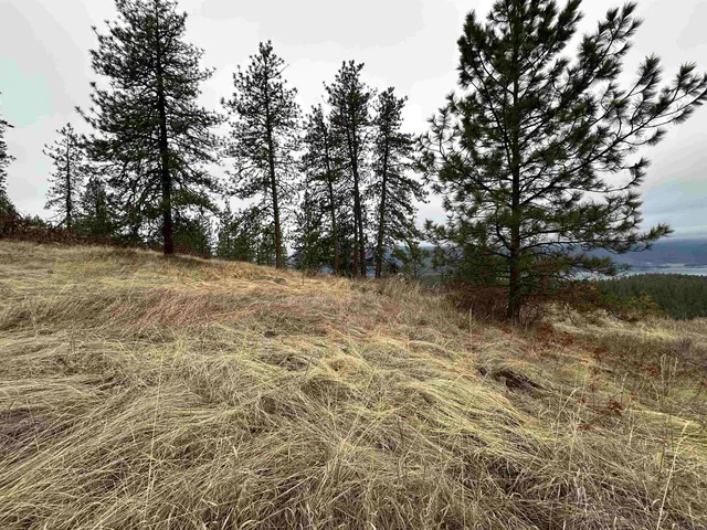 $120,000 | 3312 X Daisy Mine Road, Rice, WA 99167