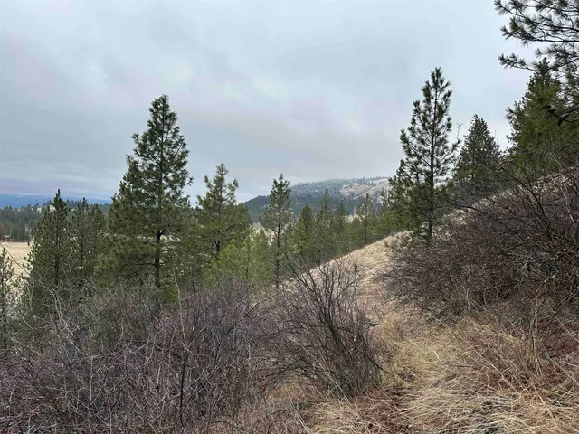 $120,000 | 3312 X Daisy Mine Road, Rice, WA 99167