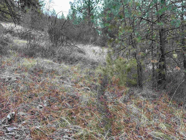 $120,000 | 3312 X Daisy Mine Road, Rice, WA 99167