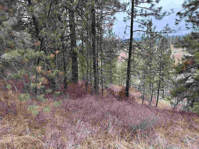 $120,000 | 3312 X Daisy Mine Road, Rice, WA 99167