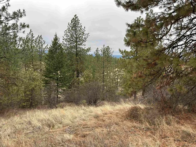 $120,000 | 3312 X Daisy Mine Road, Rice, WA 99167