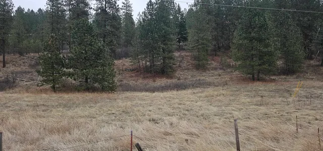 $120,000 | 3312 X Daisy Mine Road, Rice, WA 99167