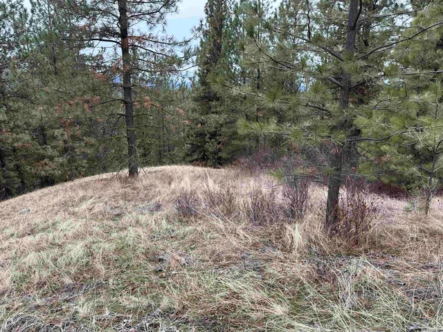 $120,000 | 3312 X Daisy Mine Road, Rice, WA 99167