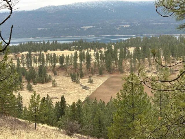 $120,000 | 3312 X Daisy Mine Road, Rice, WA 99167