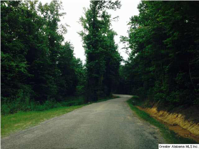 2615 6 Foot Road Ohatchee, AL 36271 - Photo 21 of 22