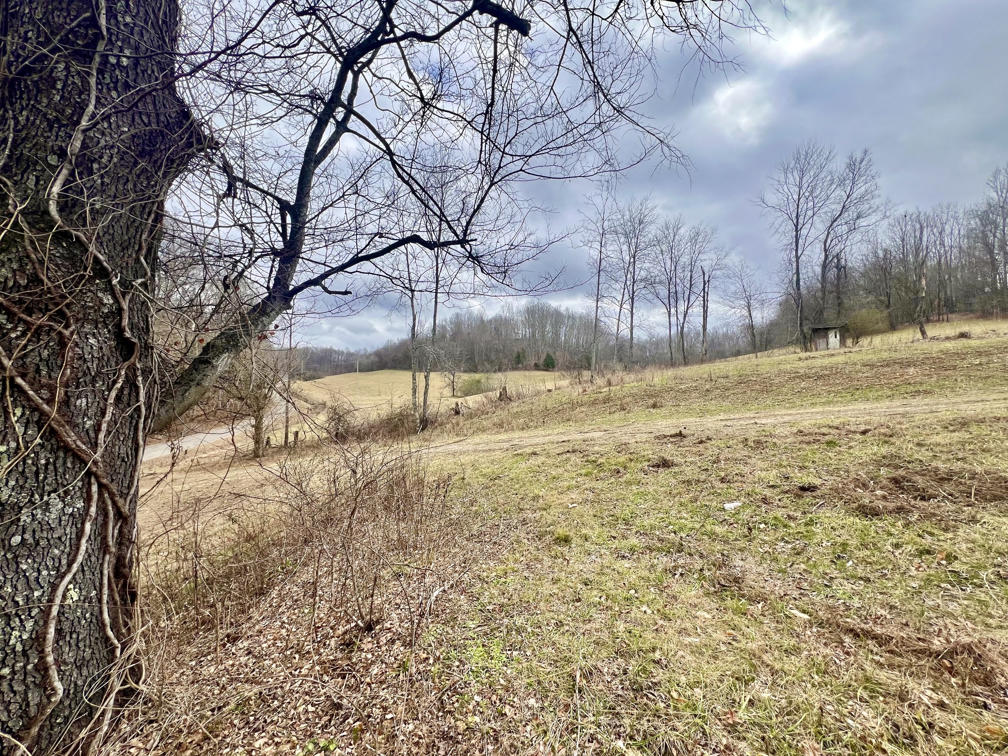 725 Hanna Road Prospect, TN 38477 - Photo 2 of 31