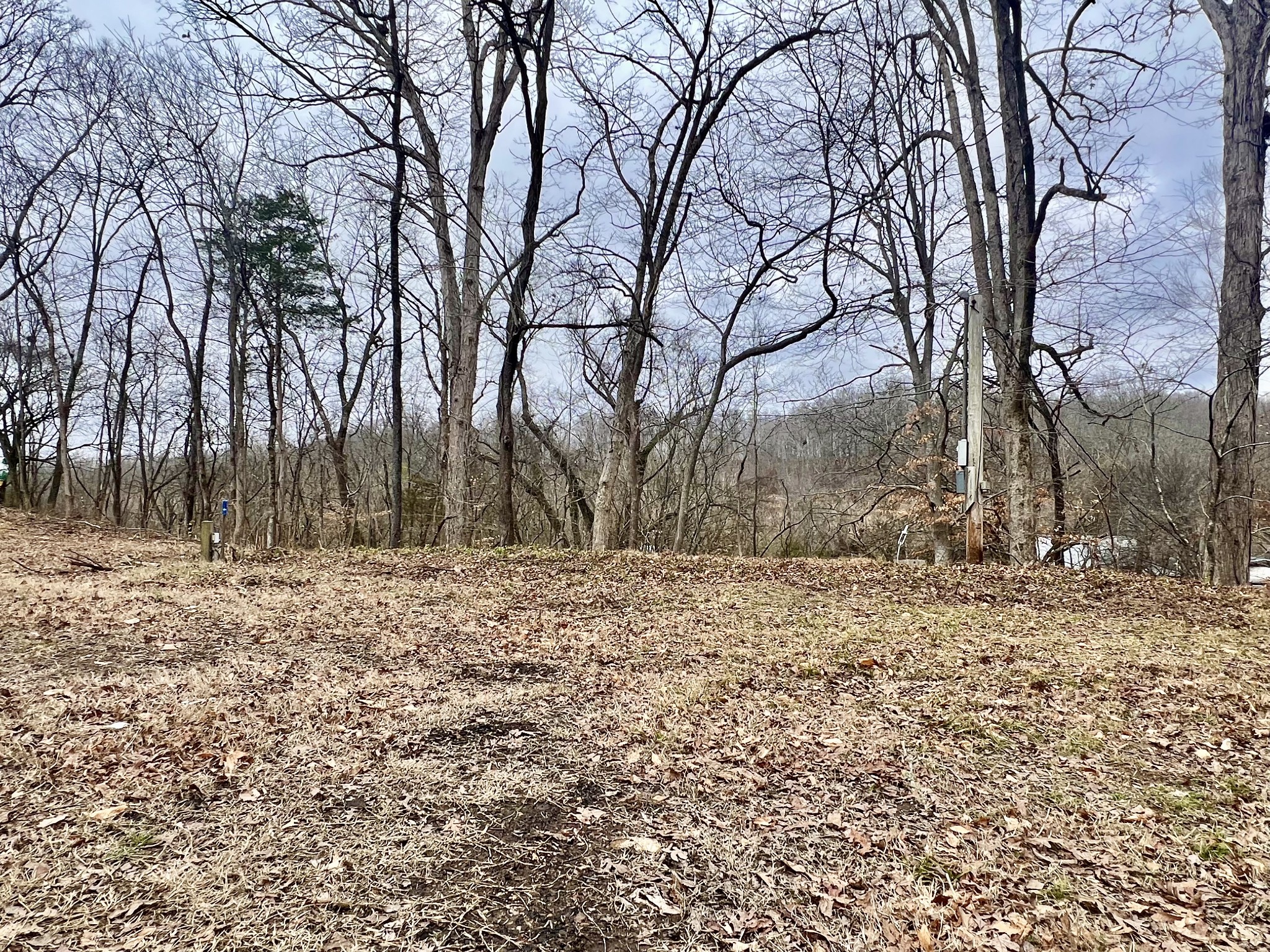 725 Hanna Road Prospect, TN 38477 - Photo 21 of 31
