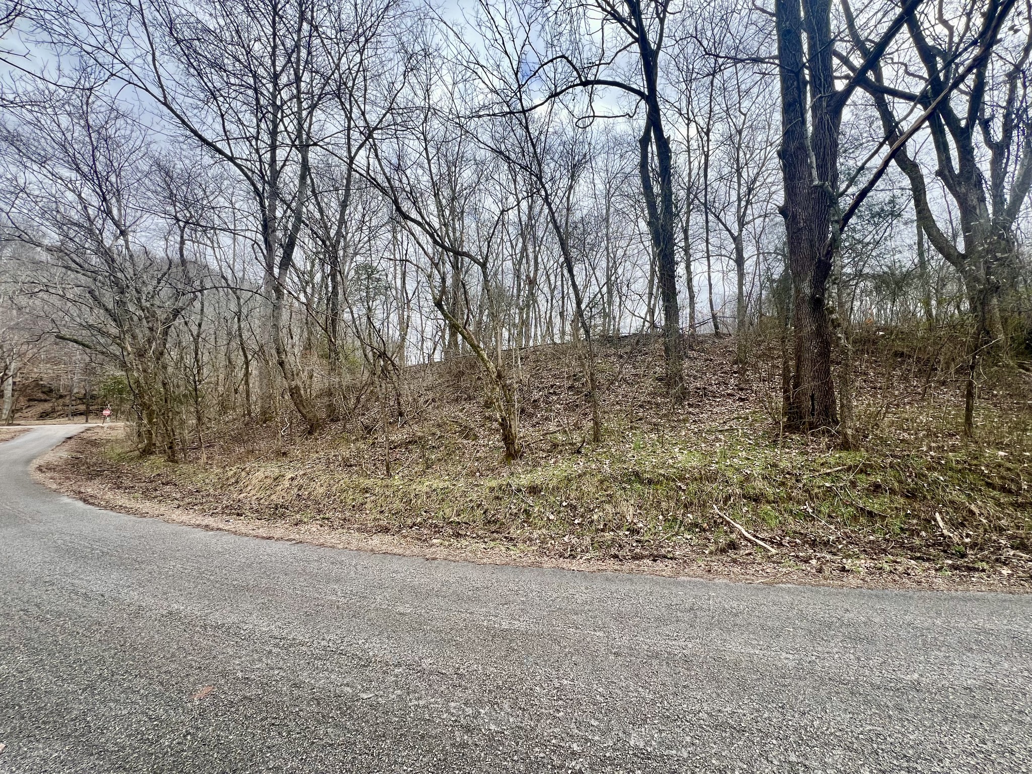 725 Hanna Road Prospect, TN 38477 - Photo 24 of 31