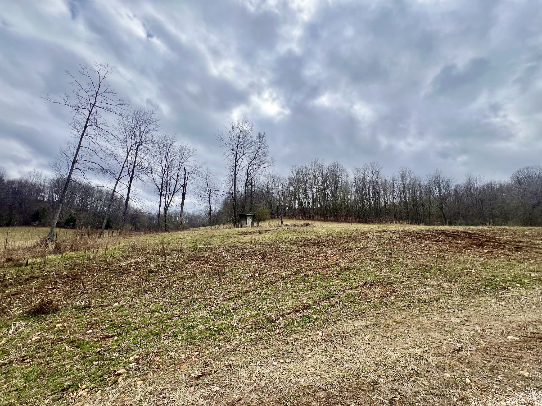 725 Hanna Road Prospect, TN 38477 - Photo 3 of 31