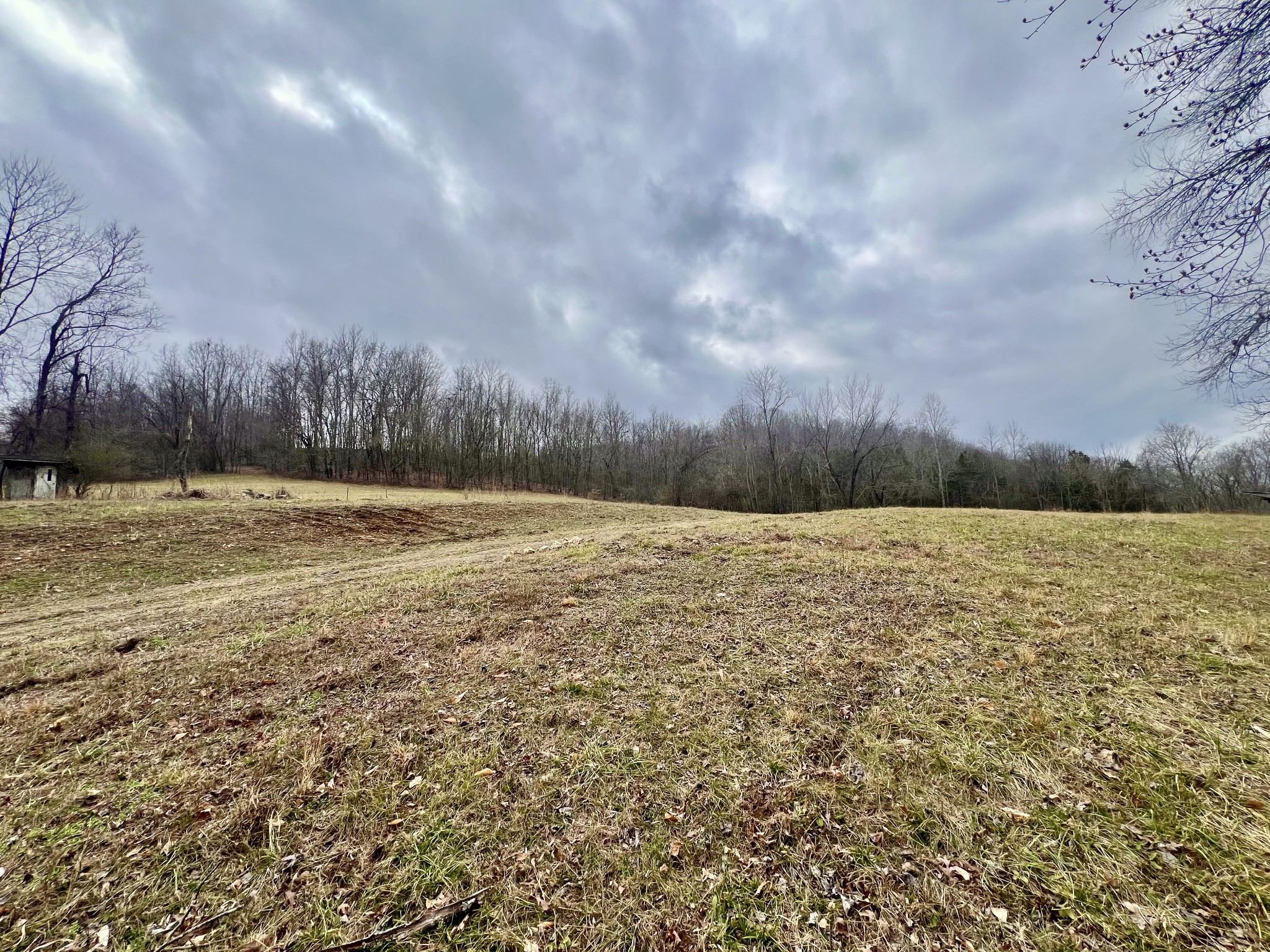 725 Hanna Road Prospect, TN 38477 - Photo 4 of 31