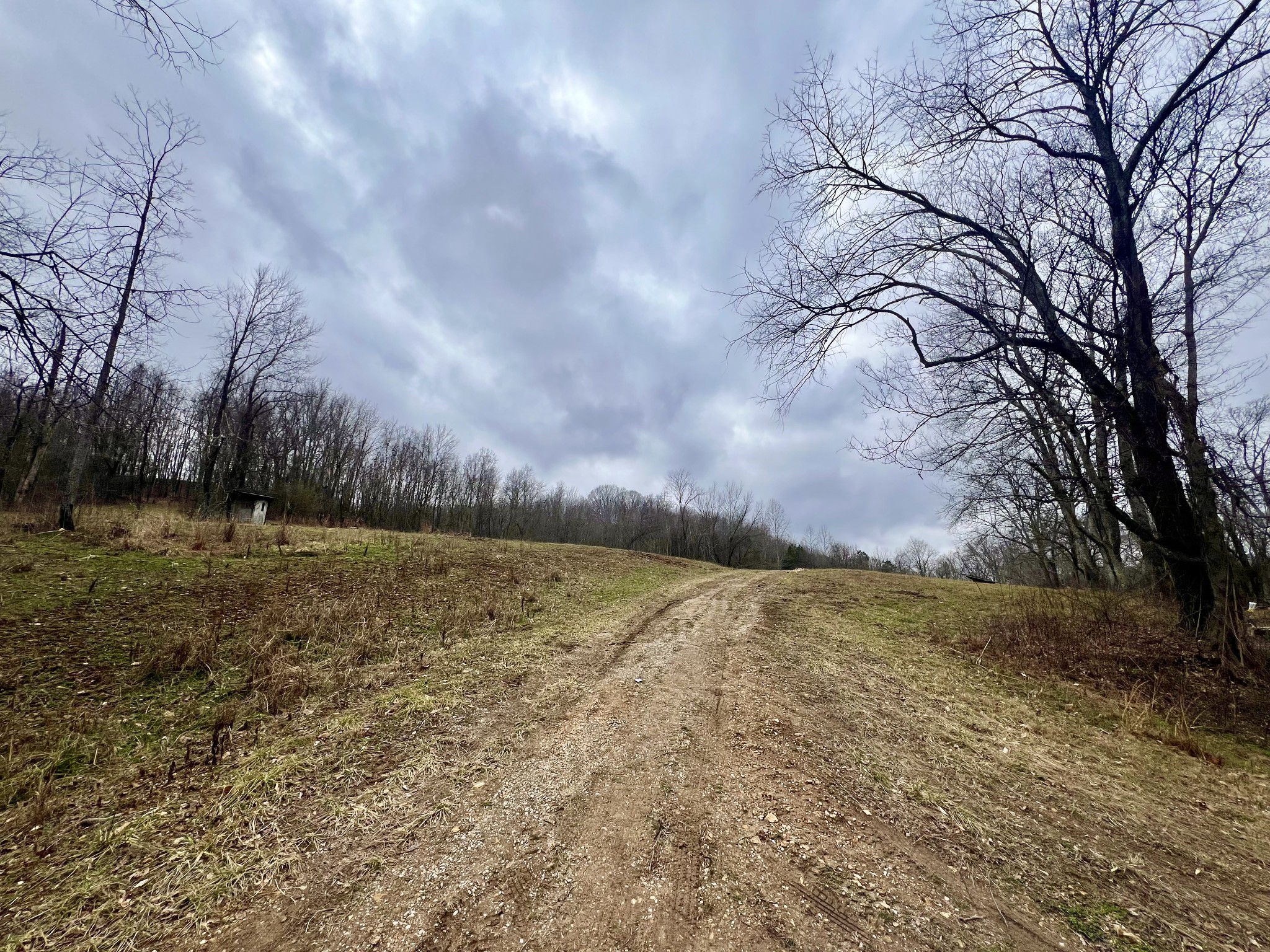 725 Hanna Road Prospect, TN 38477 - Photo 10 of 31