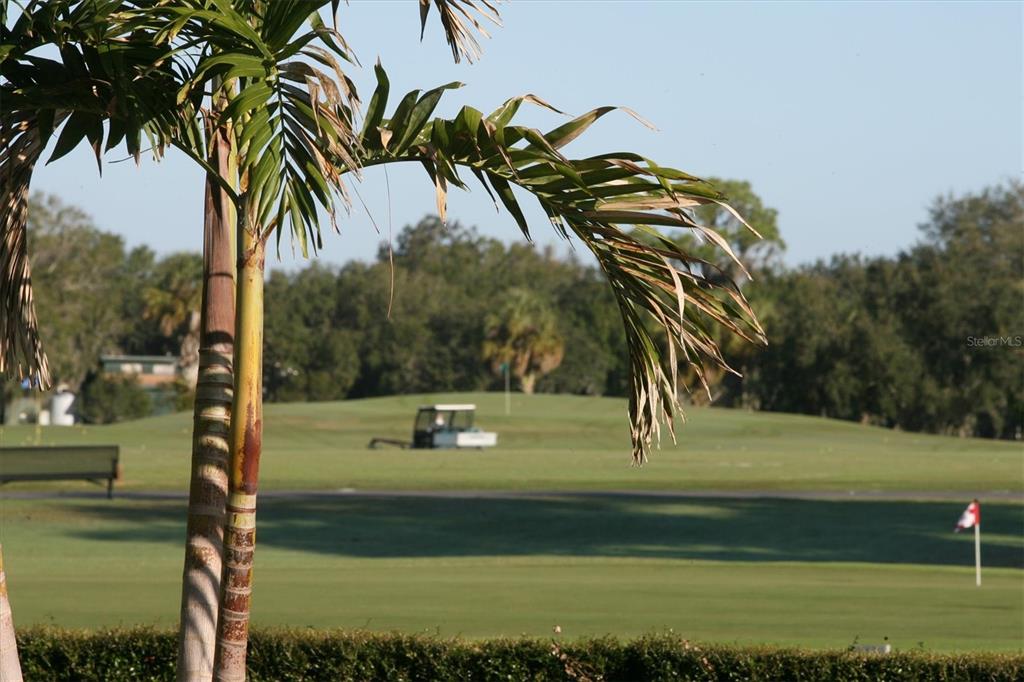 2374 Little Country Road Parrish, FL 34219 - Photo 60 of 65