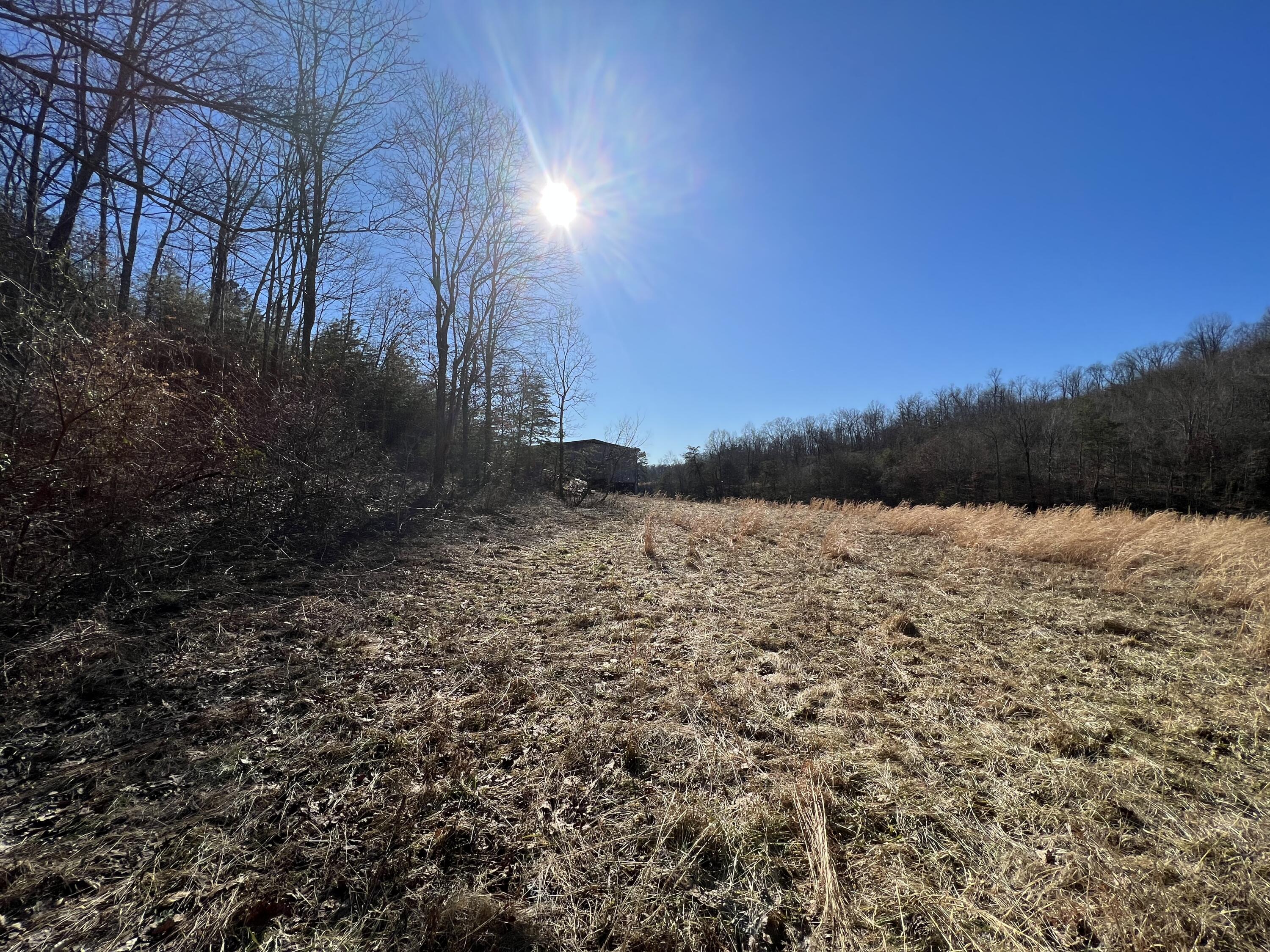 406 Harrod Branch Road London, KY 40741 - Photo 13 of 27 EA61BE9B-6200-4956-BE1D-30FD405122B4