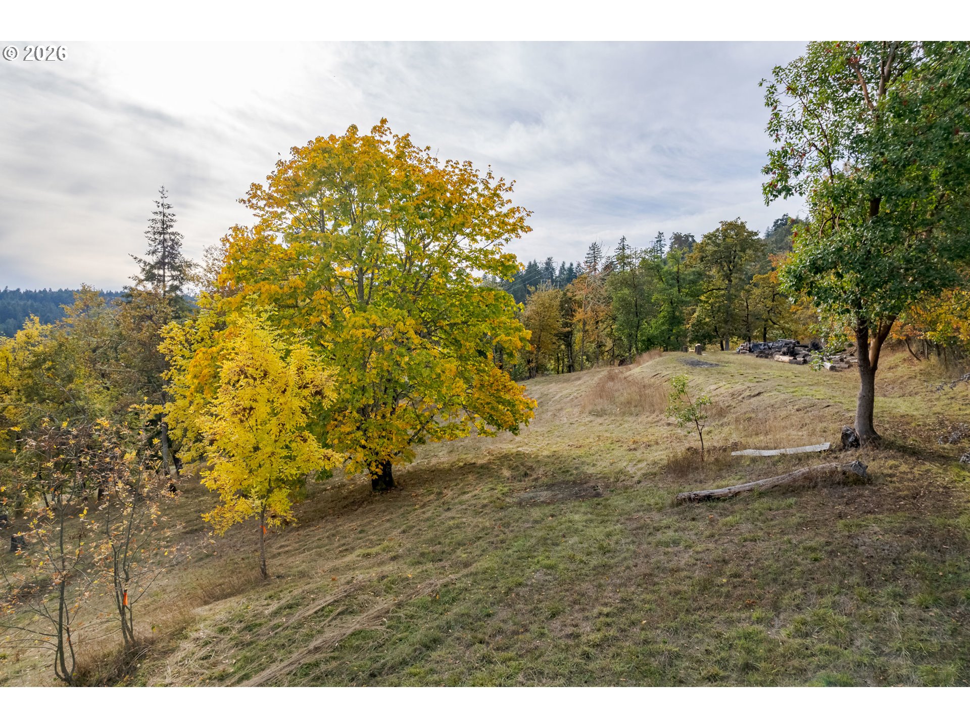 Hidden Meadows Eugene, OR 97405 - Photo 16 of 24