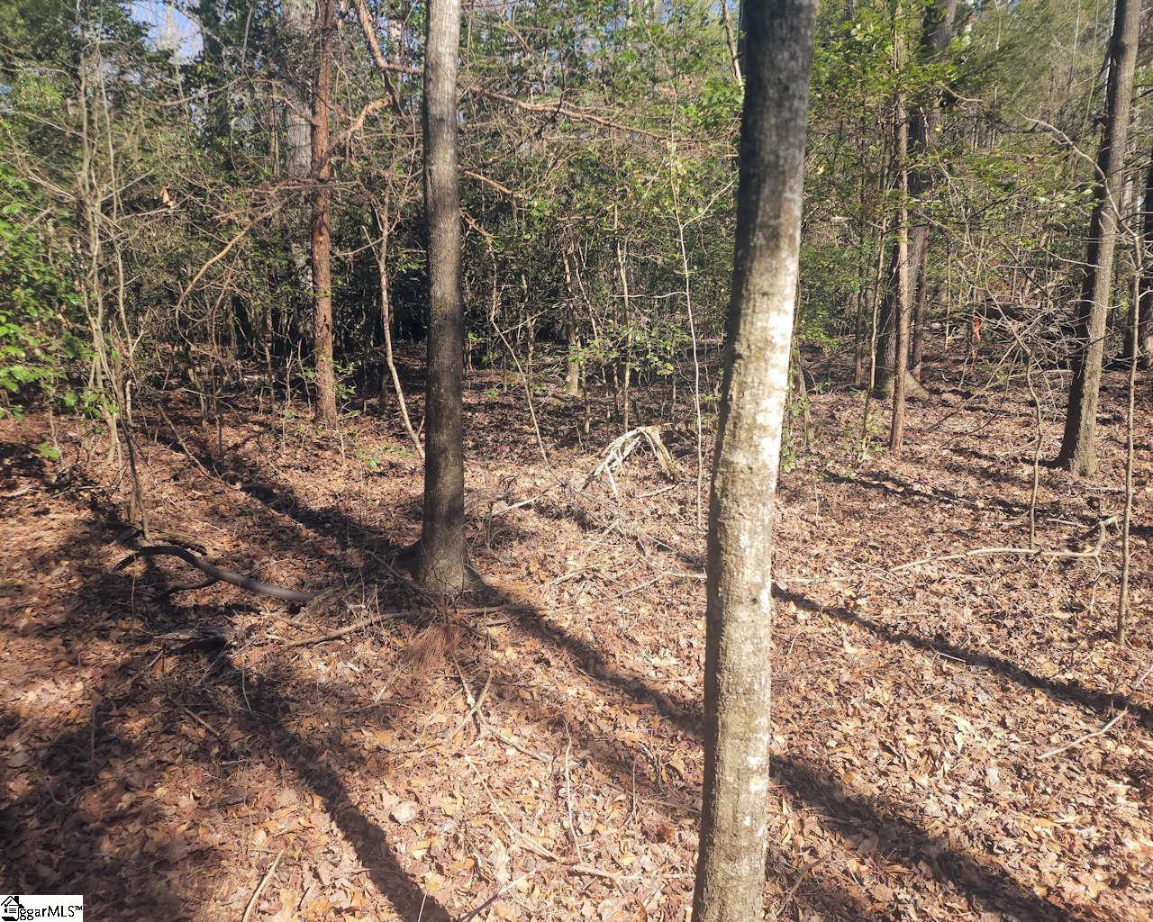 Corner Road Belton, SC 29627 - Photo 4 of 17