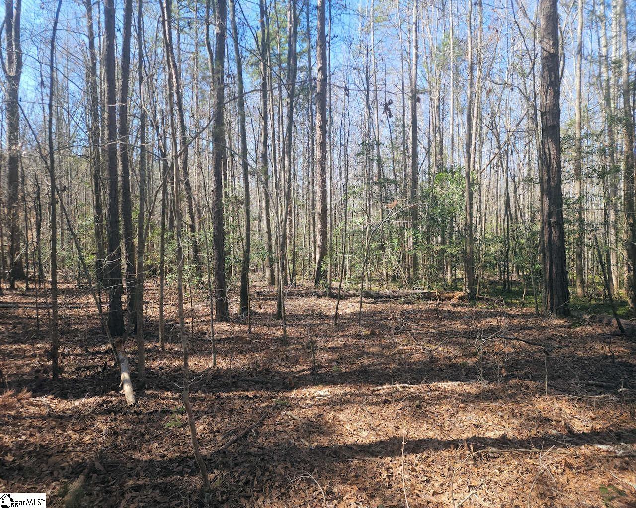 Corner Road Belton, SC 29627 - Photo 8 of 17