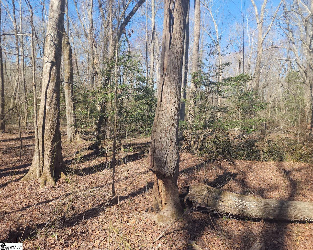 Corner Road Belton, SC 29627 - Photo 10 of 17