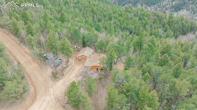 847 Timber Ridge Road Divide, CO 80814 - Photo 31 of 41 Secluded property nestled among abundant evergreen trees