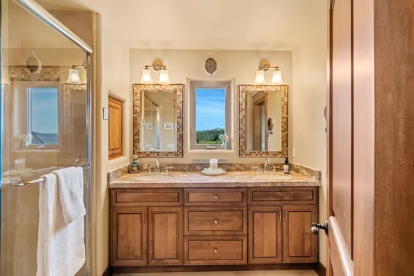 an aerial view of a house with a yard and a large tree