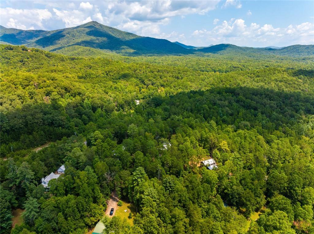 129 North Fern Cove Road Sautee Nacoochee, GA 30571 - Photo 36 of 36