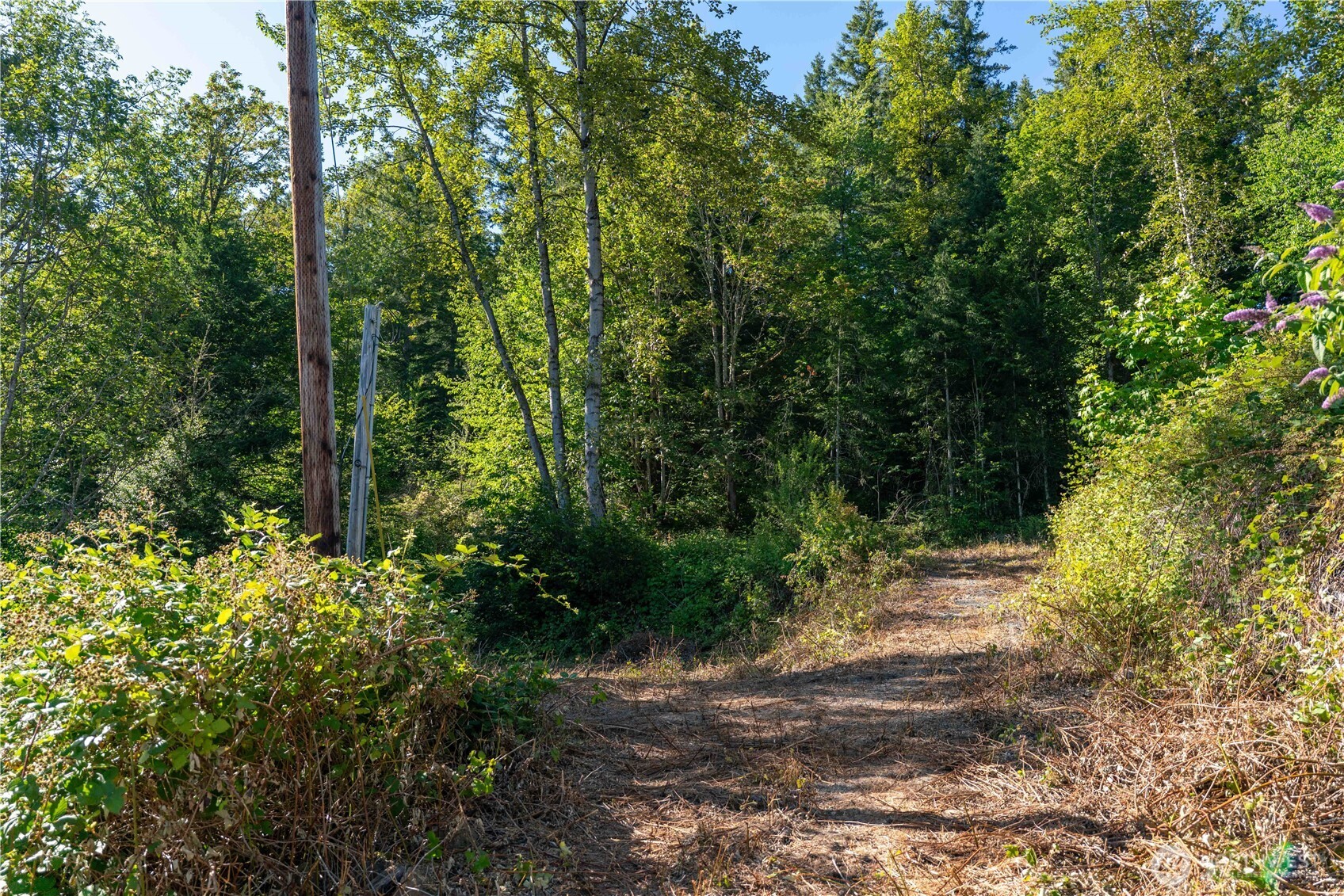 14405 Whiteman Road Gold Bar, WA 98251 - Photo 5 of 37