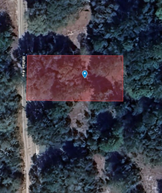 0 Maltas Avenue Interlachen, FL 32148 - Photo 1 of 6 an aerial view of a house with a yard