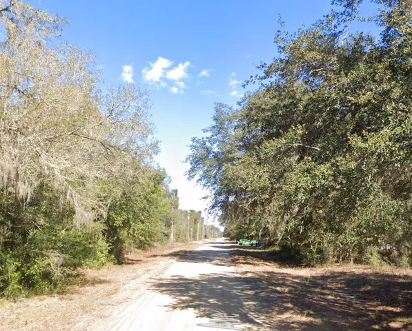 a view of road and trees